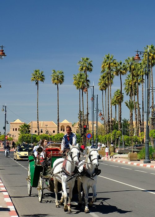 Transfert Hôtel à Marrakech